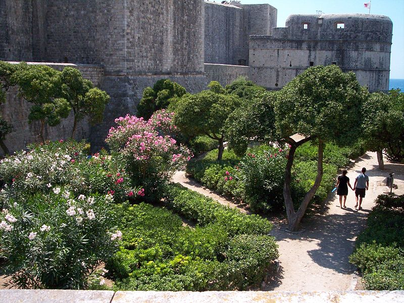 Dubrovnik yacht charter kroatien sunja yachting 4