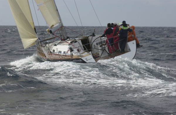 Sunja Yachting salona 45 0 3