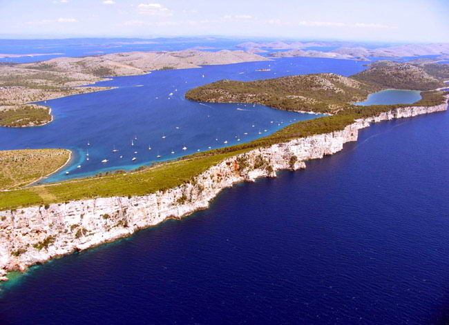 telascica
