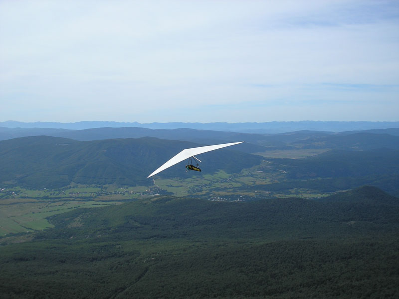 Fliegen