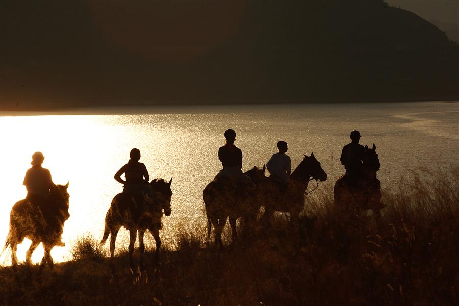 Reiten