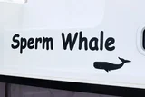 Lagoon 42 - 4 + 2 cab.-Katamaran Sperm Whale in Kroatien
