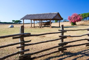 Nationalpark Brijuni Kroatien