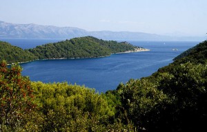 Nationalpark Mljet Insel