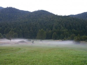 Nationalpark Risnjak Waldlandschaft