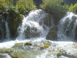 Plitvicer Seen Natur