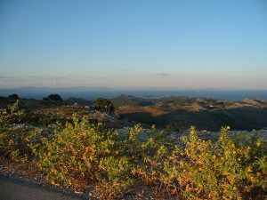 Pflanzen Naturpark Lastovo